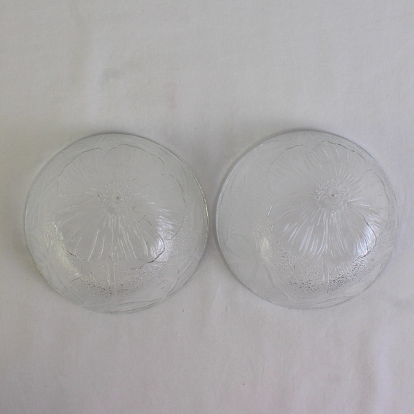 Lot Of 2 Unbranded Clear Glass Poppies Floral Pattern Glass Bowl 5" Diameter