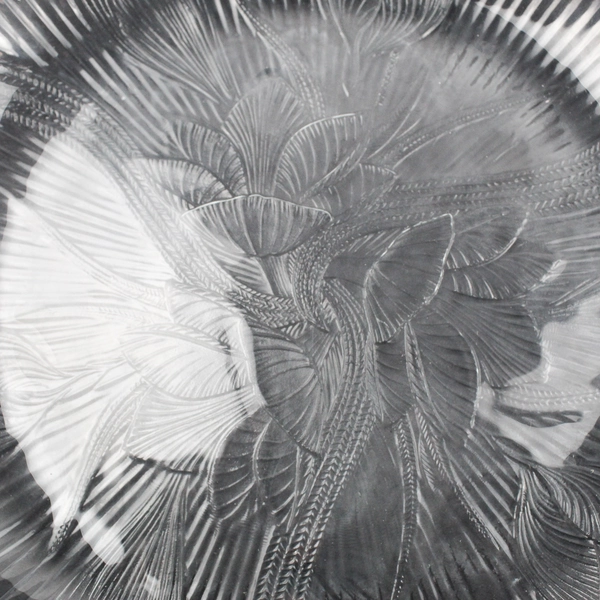 Lot Of 3 Arcoroc Canterbury Pattern Clear Glass Dinner Plates 10.75" Diameter