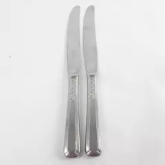 Set of 2 Oneida Flight Deluxe Modern Solid Stainless Dinner Knives 9"