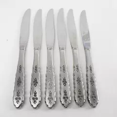 Set of 6 Oneida Silver Floral Bouquet Modern Hollow Handle Dinner Knives