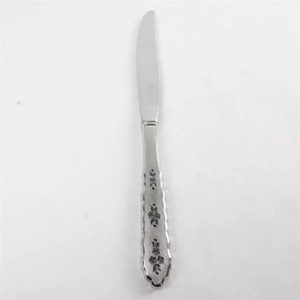 Set of 6 Oneida Silver Floral Bouquet Modern Hollow Handle Dinner Knives
