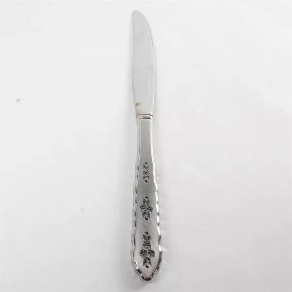 Set of 6 Oneida Silver Floral Bouquet Modern Hollow Handle Dinner Knives