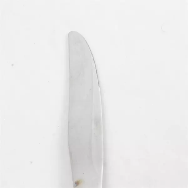 Set of 6 Oneida Silver Floral Bouquet Modern Hollow Handle Dinner Knives