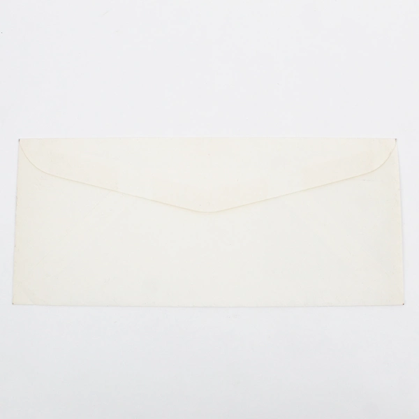 1969 Moon Landing Eagle Has Landed US Steel First Day Cover Stamp