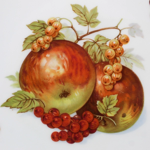 Seltmann Weiden Bavaria Fruit Salad Plate Made In West Germany 7.75" Diameter