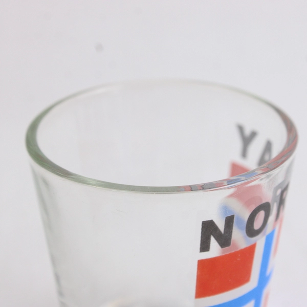 Norway Flag Clear Shot Glass