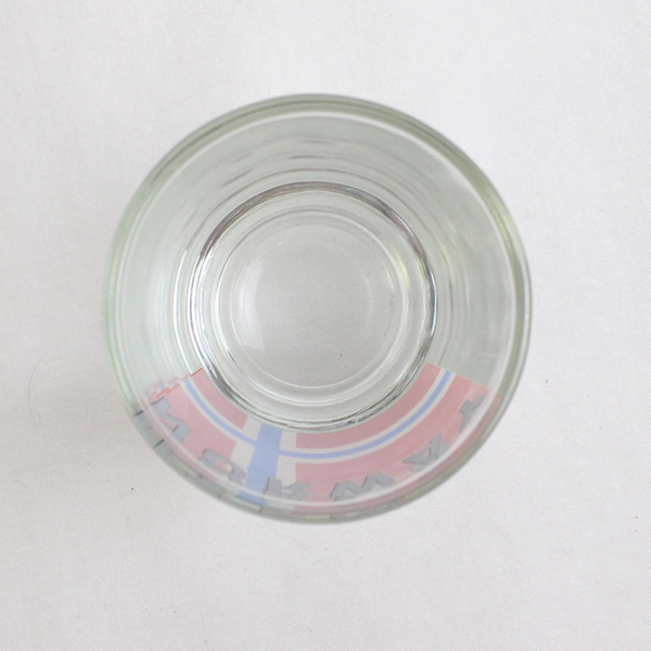 Norway Flag Clear Shot Glass
