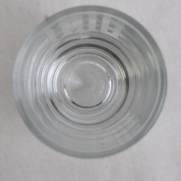 Busch Gardens Tampa Florida Shot Glass "Jimi"