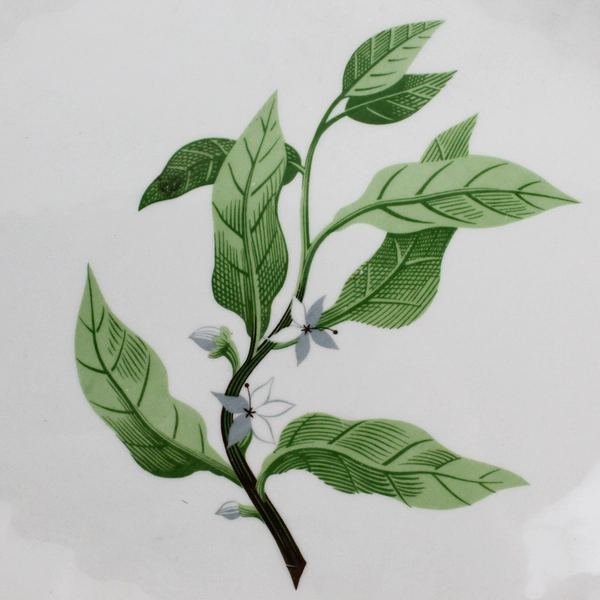 MCM W S George Bolero B8760 ORANGE BLOSSOM 13.5" Platter