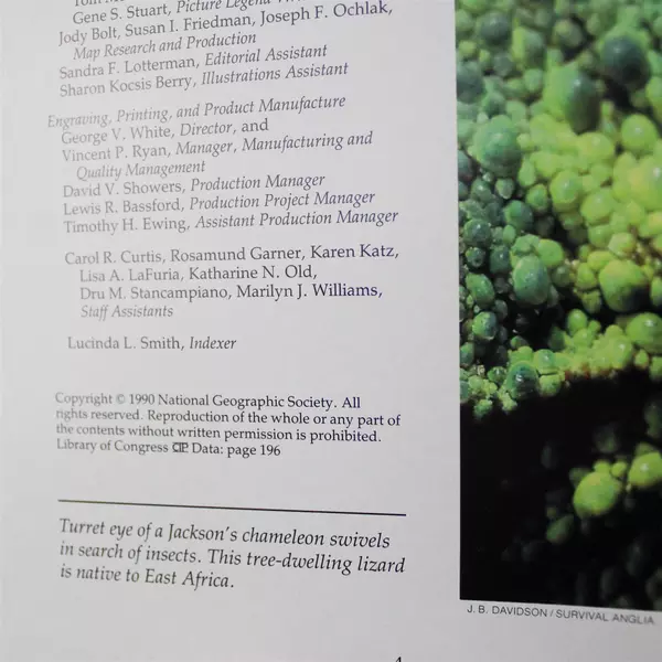 Lot of 2 National Geographic Hidden Worlds of Wildlife & The Emerald Realm