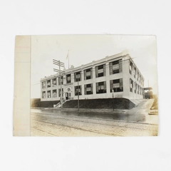 Luyties Homeopathic Pharmacy Company building St Louis Missouri Photo Circa 1915