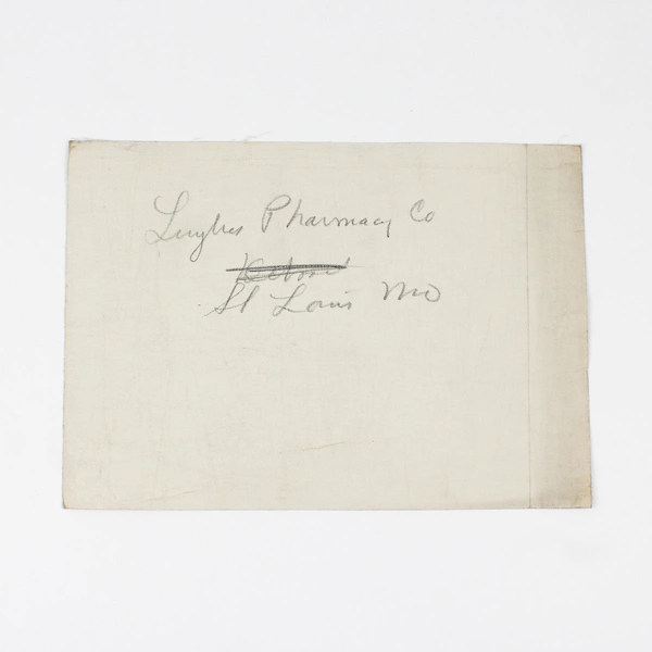 Luyties Homeopathic Pharmacy Company building St Louis Missouri Photo Circa 1915