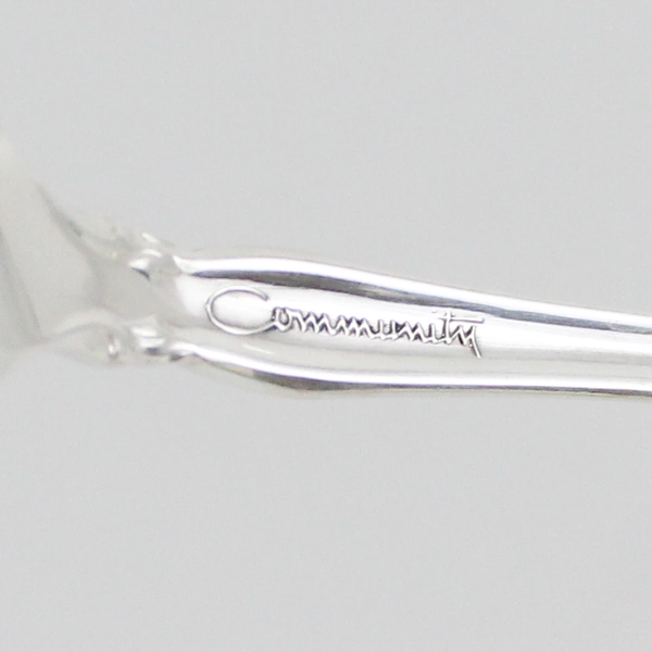 38 Piece Oneida Community BRAHMS Stainless Flatware Silverware Pierced