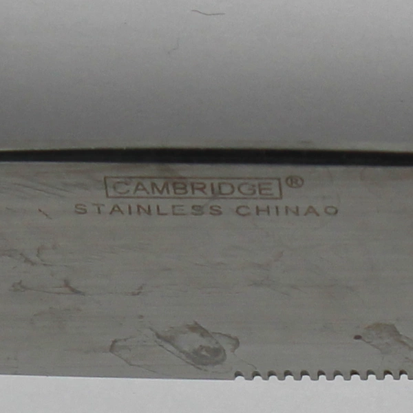 Lot of 2 Cambridge Silver CBS224 Pattern Dinner Knives Stainless Steel Rare