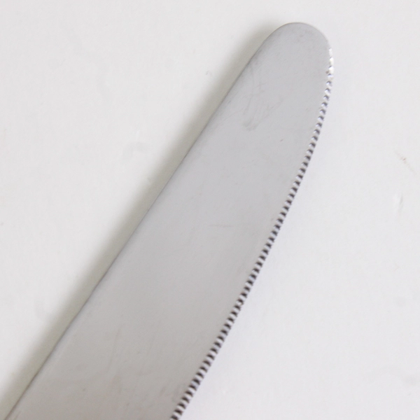 Lot of 5 Towle Blossom 18/10 Stainless Glossy Dinner Knives