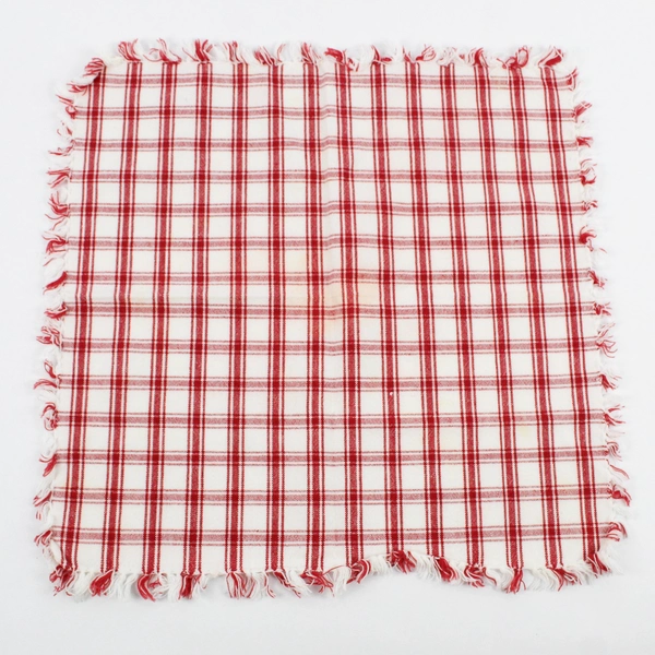 Lot Of 4 Matching Unbranded Red/White Plaid Square Fabric Napkins 15" x 15"