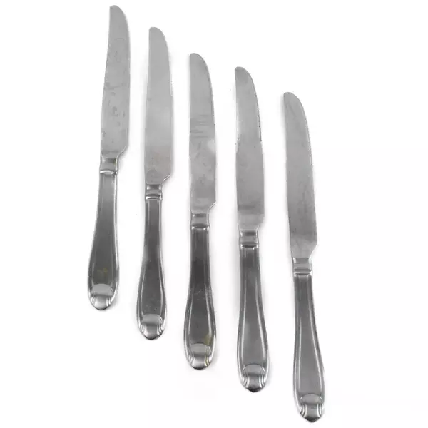 Set of 5 Oneida Silver Satin Garnet Stainless French Solid Knives 9.5"