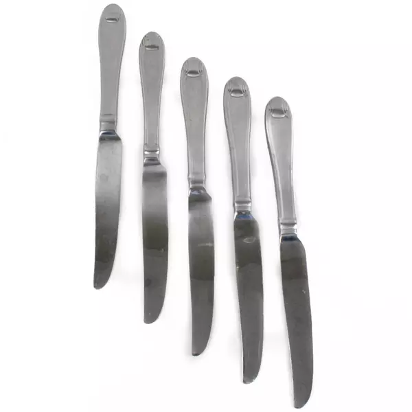 Set of 5 Oneida Silver Satin Garnet Stainless French Solid Knives 9.5"