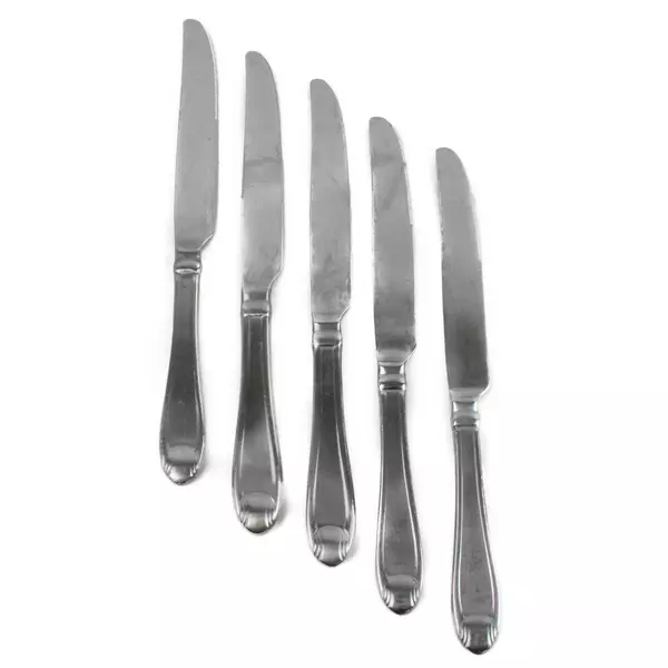 Set of 5 Oneida Silver Satin Garnet Stainless French Solid Knives 9.5"