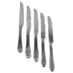 Set of 5 Oneida Silver Satin Garnet Stainless French Solid Knives 9.5"