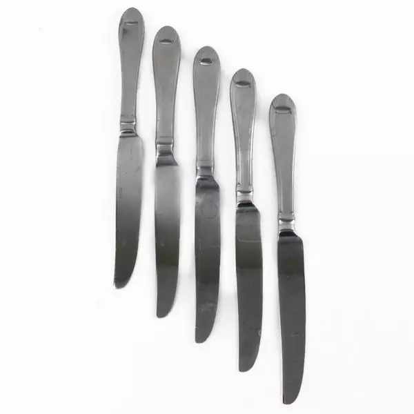 Set of 5 Oneida Silver Satin Garnet Stainless French Solid Knives 9.5"