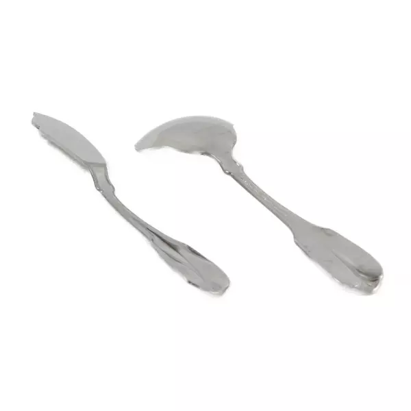 Lot of 2 Oneida Satin Gloria Stainless Sugar Spoon & Flat Handle Master Butter