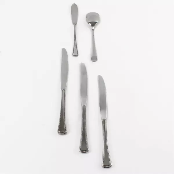 Lot of 5 Oneida Needlepoint Stainless 3 Knives Sugar Spoon & Butter Knife