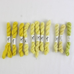 Lot of 11 Broider Wul Lamb's 100% Wool Braids 30 Yds Each Yellow Shades New