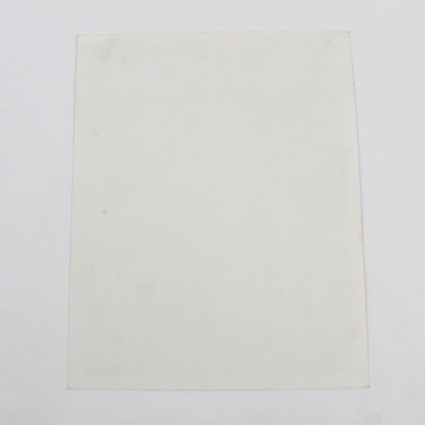 Rosa Turich Son Of Billy The Kid Western Movie 8X10 Photo Vintage Reprint 