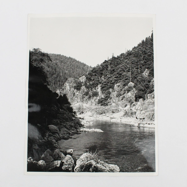 Vintage Rogue River Oregon Steelhead Stream 8X10 Photo Oregon Highway Department
