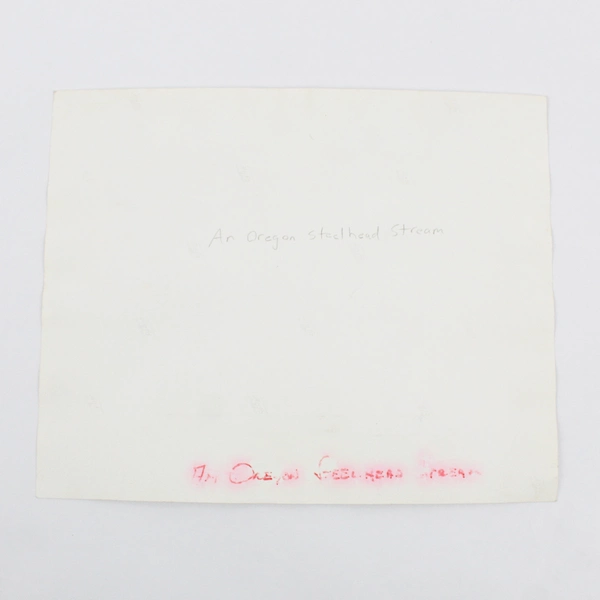 Vintage Rogue River Oregon Steelhead Stream 8X10 Photo Oregon Highway Department