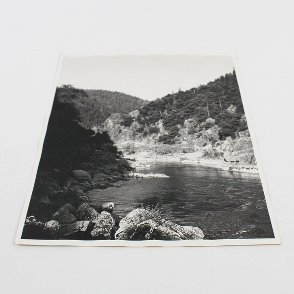 Vintage Rogue River Oregon Steelhead Stream 8X10 Photo Oregon Highway Department