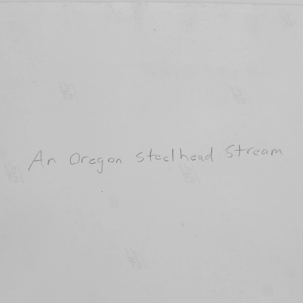 Vintage Rogue River Oregon Steelhead Stream 8X10 Photo Oregon Highway Department