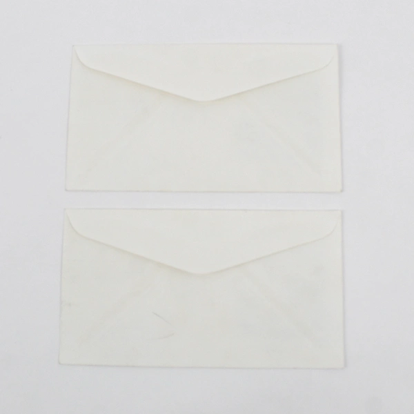 Lot Of 2 1957 Wildlife Conservation Whooping Crane Stamp First Day Covers FDC