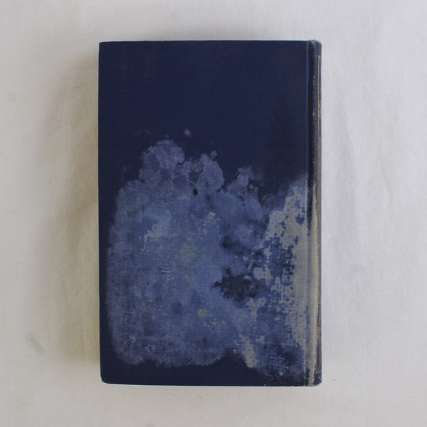 Antique Yale Book of American Verses Edited by Thomas R Lousnbury 1912 HC