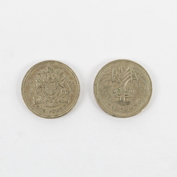 Lot Of 2 Queen Elizabeth II One Pound Coins UK 1£ Circulated Coins 1983 1985