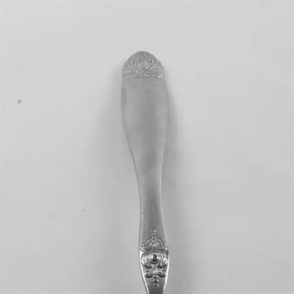 Set of 2 Oneida Spoons Stainless Oval Soup Spoon