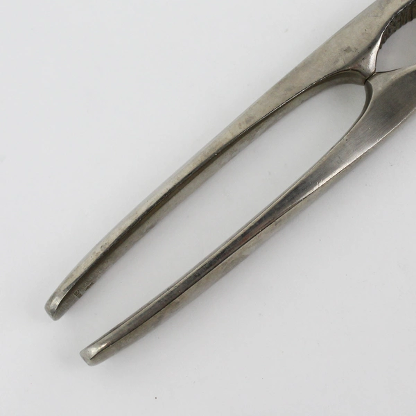 Stainless Steel Seafood Lobster & Nut Cracker