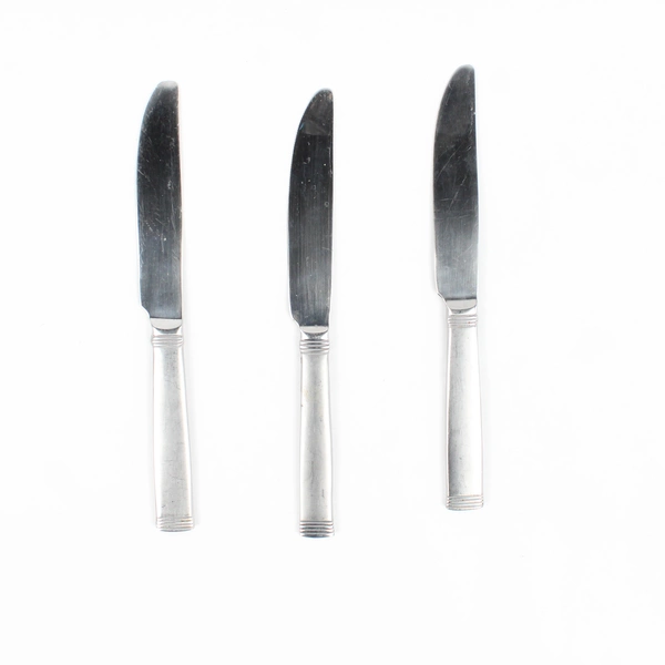 Lot of 3 Wallace Silver Napoli Frost Pattern Stainless Dinner Knives 8.75"