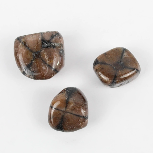 Lot of 3 Polished Chiastolite Stones 150 Grams Total