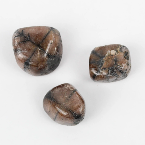 Lot of 3 Polished Chiastolite Stones 150 Grams Total