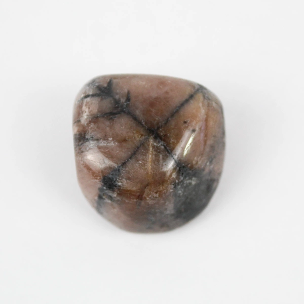 Lot of 3 Polished Chiastolite Stones 150 Grams Total