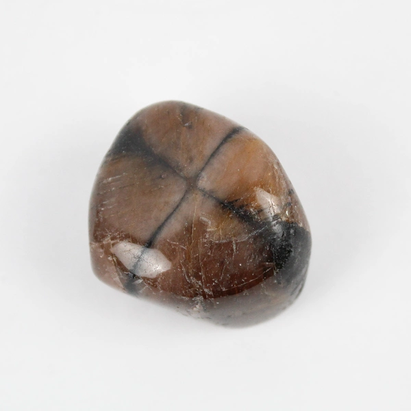 Lot of 3 Polished Chiastolite Stones 150 Grams Total