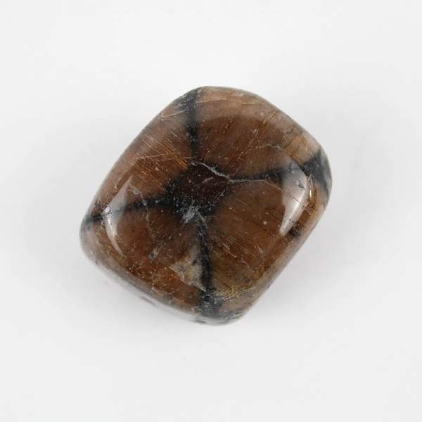 Lot of 3 Polished Chiastolite Stones 150 Grams Total