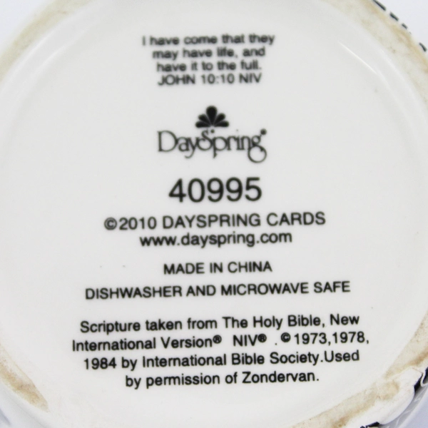 DaySpring Cards Inspirational Religious John 10:10 NIV Ceramic Coffee Mug 6"