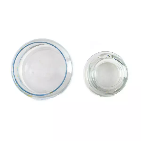 Vintage Anchor Hocking Country Goose Glass Canister with Lid 5.75" 