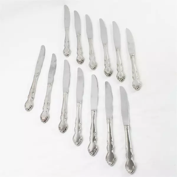 Oneida Dover Lot of 13 Stainless Steel Butter Knives Silverware Set