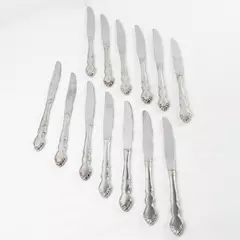 Oneida Dover Lot of 13 Stainless Steel Butter Knives Silverware Set
