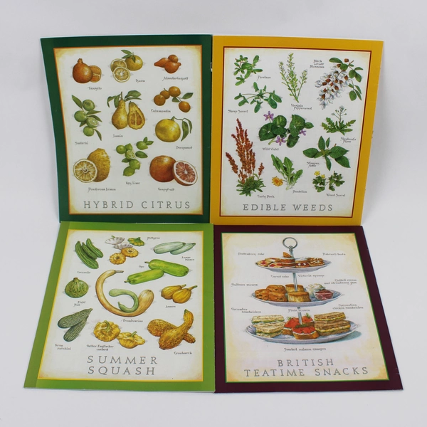 Lot of 4 Cook's Illustrated Magazines Jan/Feb 2024 to July/August 2024 