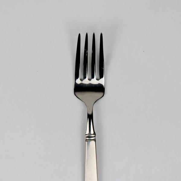 Mikasa by Simpatico Salad Fork Stainless Steel Flatware Banded Heel